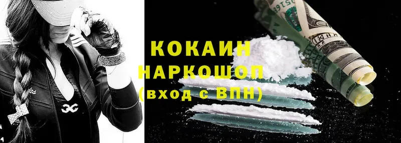 Cocaine FishScale  Соликамск 